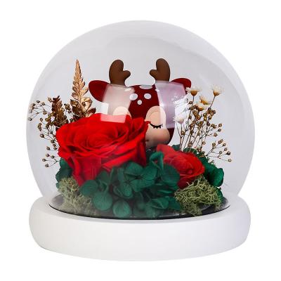 China Deer Immortality Rose Glass Cover Cute And Creative Decoration Preserved Roses With Warm Light For Christmas 12*13.5CM for sale