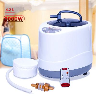 China Computer Control Panel 4.2 Liters 2000W Sauna Steamer Sauna Generator Heater US EU Portable Electric Steamer Plug For Indoor Sauna Room for sale