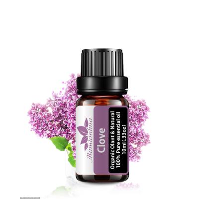 China Skin Revitalizer Clove Essential Oils Aromatherapy Plant Scented Natural 100%Pure Essential Oils Relieve Calm Mood 10ml For Amazon Market Sheets for sale