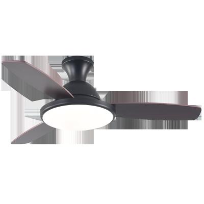 China Hotel Good Quality Stainless Steel Material Three Blades Can Remote Control The Ceiling Fan for sale