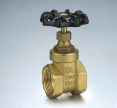 China General Wholesale 1/2 - 4 Inch Stem High QualityForged Water Non Rising Brass Gate Valve for sale