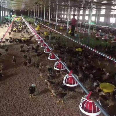 China Long Life Wholesale Price Poultry House Broiler Chicken Farm Feeder Pan For Sale for sale