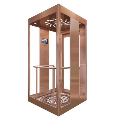 China Professional Hotel Elevator Lifts for sale