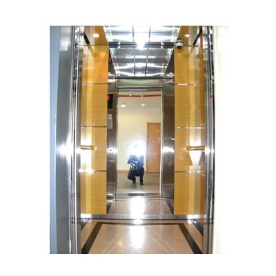 China Hotel 6 People Machine Room Small Building Elevator With German Technology for sale