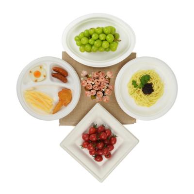 China Bagasse Paper Sugarcane Paper Fruit Tray Cake Dinner Food Disposable Biodegradable Eco Friendly Dish for sale