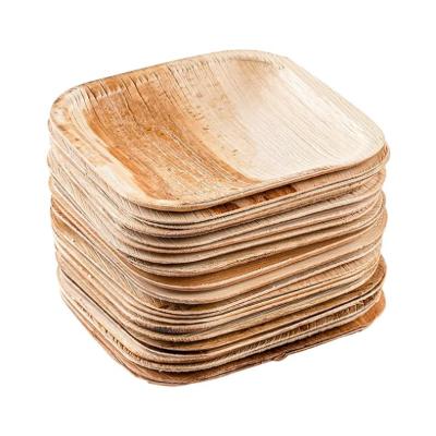 China biodegradable & 7 10inch 25pcs Set of Areca Palm Leaf Dishes Disposable Eco Friendly Biodegradable Eco-Friendly Compostable Party Dishes for sale