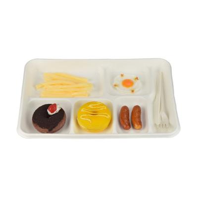 China biodegradable & 2-3-4-5 Compartment Sugarcane Bagasse Fiber Pulp Tray Container Box Disposable Biodegradable Eco Friendly Compostable Tableware for sale