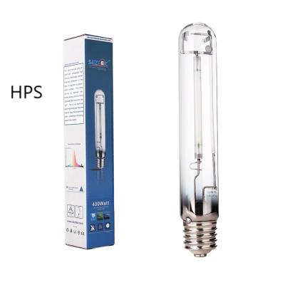 China Garden China Manufacturer 250W 400w 600w Professional High Pressure Sodium Lamp Street Light for sale