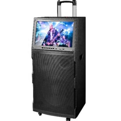 China China speaker factory 12 inch trolley speaker part with lcd monitor lcd speaker for sale