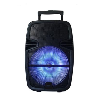 China VOC Wireless Factory Customized BT5.0 8 Inch Wireless Trolley Speaker Party Speaker for sale