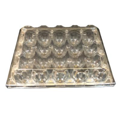 China Eco-Friendly Clear Wholesale PET Pack Plastic Egg Tray Packaging 20 Cavity for sale