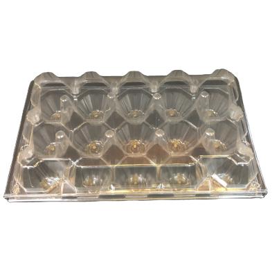 China Wholesale Eco-Friendly Clear Egg Plastic Package PET Tray Clam Shell Packaging 15 Cavity for sale