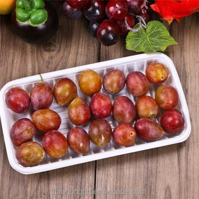 China Rectangular Plastic Pad /box, Food Grade Plastic Fruit Chicken Meat Tray, Food Absorbent PP EPS Foam Food Trays for sale