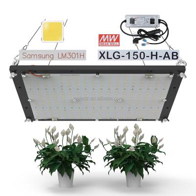 China Seed Starting ReaLEDz PPFD Q288 Quantum LED Plate LM301H 3000K 3500K 4000K XLG Driver High Top High Power 120w Led Grow Light for sale