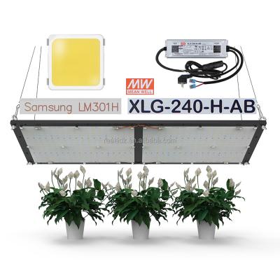 China Seed Starting Estares Full Spectrum MW XLG-240-H-AB Power Driver 240w Quantum LM301H LED V3 Dish Mix 660nm IR UV LED To Grow Light for sale