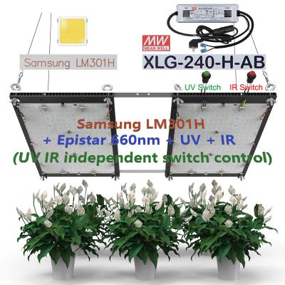 China Seed Starting Estares 240W Epistar Switch Control Q272 V4 Quantum Panel LM301H UV Independent RIGHT XLG Dimmable Driver IR Led Growing Light for sale