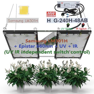 China Seed Starting 2021 New Quantum 240W Q272 LM301h V4 Led Grow Lights With IR Switch UV Independent Control For Horticulture MW Driver for sale