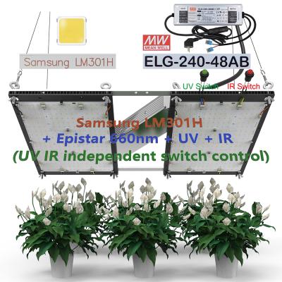 China Seed Starting 240W IR Switch Control Q272 V4 Quantum Dish LM301H Epistar 660nm ELG GOOD dimmable driver UV GOOD Led Grow Lights for sale