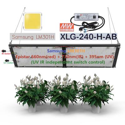 China Seed Starting Estares MW XLG 240W Dimmable Driver IR Switch Control Quantum Panel LM301H 3000K 3500K UV Mix 660nm Led Grow Light for sale