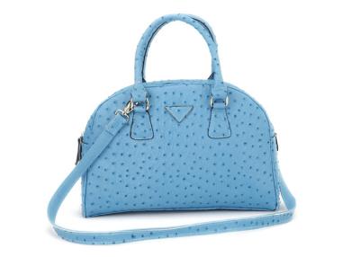 Chine L'autruche bleue/noir gravent bandoulière de sacs à main en cuir de dames la longue à vendre