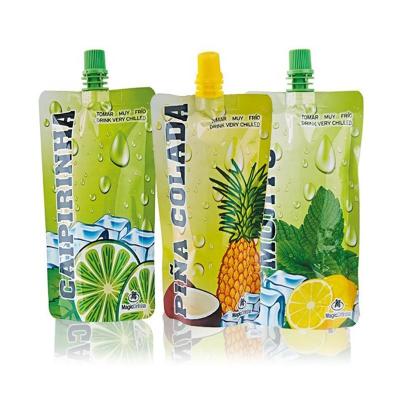 China Aseptic Wholesale Custom Plastic Doypack Rack Up Pouches Packaging Suction Spout Bag for sale