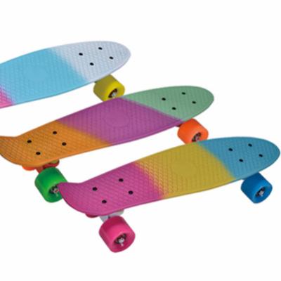 China 21 Inch PP Wooden Full Deck Mixed Color Colorful Skateboard for sale