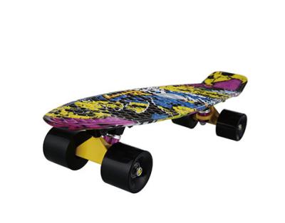 China Cheap Price Youth Board Plastic DIY Custom Fish Skateboard for sale