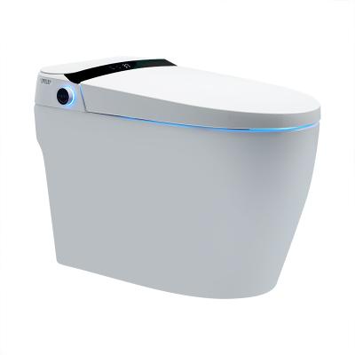 China High Grade Hidden Tank Factory Supplier V5 Configuration Auto Smart Toilet for sale