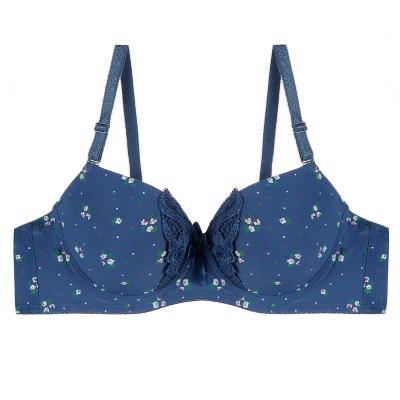 China Beautiful Girls Lingerie Butterfly Blue Floral Print Applique QUICK DRY Lace Up Plus Size Busty C Cup Bra For Women for sale