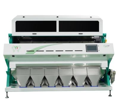 Cina Reliable CCD Color Sorting Machine Pumpkin Seed Kernels Color Sorter in vendita