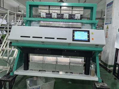 China Customized 256 Channels Camera Grain Seed Maize Seeds Color Sorter for sale