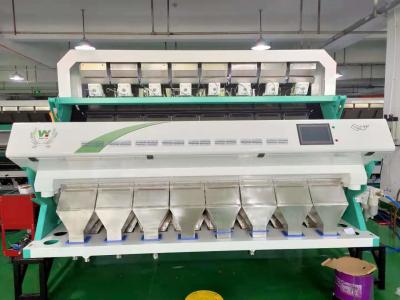 China Automatische Datenverarbeitung WENYAO Peeled Garlic Vegetable Sorting-Maschine zu verkaufen