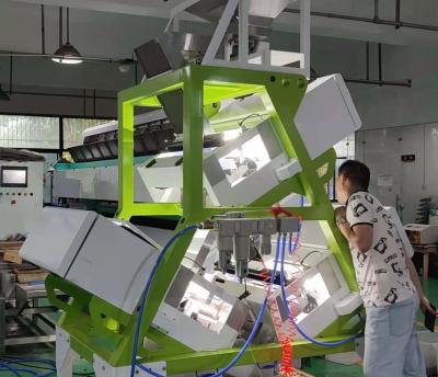 China Green Tea Black Tea Puer Tea Color Sorter Machine With Rgb Ccd Optical Camera for sale