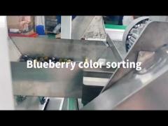 blueberry sorting vedios