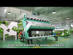 7 chute cashew nut wenyao color sorter