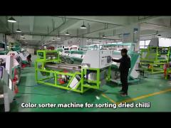 Wenyao Belt Type Double Stages Dried Chili Color Sorter