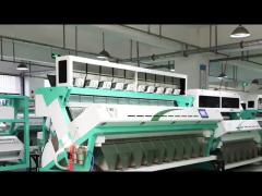 WYCS10-640 Corn Color Sorter Machine For Maize Color Sorting and cleaning 10-15 Tons/Hour Speed