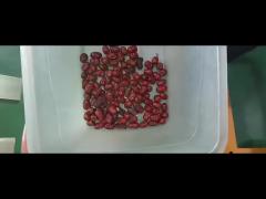 red jujube