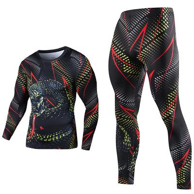 China Quick Dry Men's Gym Rashguard Tights Legging Fitness Compression Underwear Running Tracksuit Thermal Clothes Male Quick Dry Tracksuit for sale