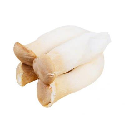 China China Fresh Hot Sale High Quality One Stop Buy Pleurotus Eryngii Eryngii Eryngi Mushroom for sale