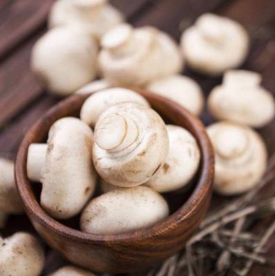 China Factory One Stop Fresh White Mushroom Buy Fresh White Mushroom With High Quality for sale