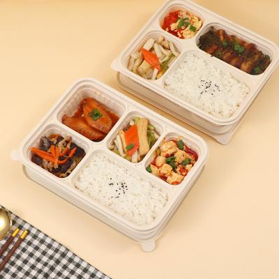 China Cornstarch Minimalist Container Compartment Meal Fast Tray Biodegradable Take Away Lunch Boxes for sale