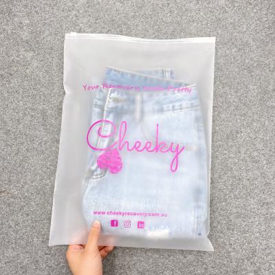 China Custom Logo Matte Print Pe Zipper Poly Zip Lock Moisture Proof Custom Lock Frosted Plastic Packaging Bag For Clothes for sale