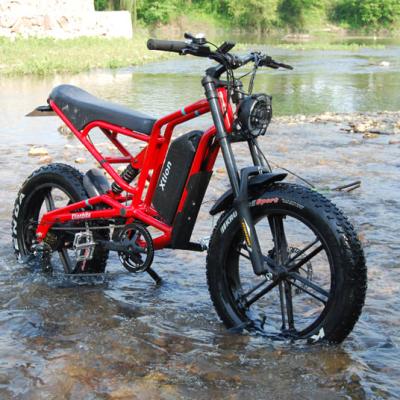 China Aluminum Alloy 48V 1000W Electric Bike With 20