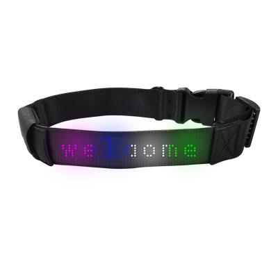 China Padded Led Display Pet Collar App Control Luminous Glowing Dog Collar For Night Safety Flashing Glow In Dark Dog Leash Dog Collar for sale