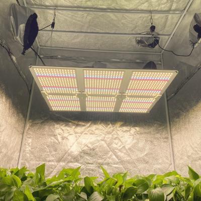 China Full Stage 240w 480w 640w Full Spectrum Growing Light For Medical Greenhouse for sale