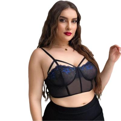 China 2022 MODENA 95% Polyester Multicolor Embroidered Sexy Plus Size Lingerie Suspender Thin Gathered Sexy Top for sale