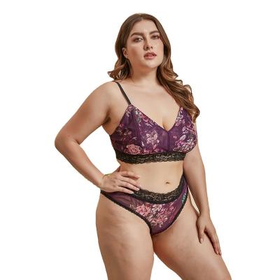 China Modena 2022 Hottest Plus Size Women's Underwear 2022 95% Polyester Lace Fashion Embroidery Women's Sexy Underwear 2 Pcs Set for sale