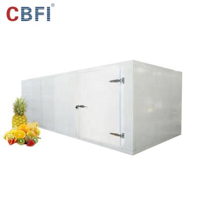 China Container Fruit Vegetable Meat Seafood Freezer Cold Room Storage Container Freezer Room Cold Room Refrigeration for sale