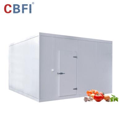 China Automatic container ammonia container cold storage for factory tomato cold storage, cool room for fruits, vegetable cold room for sale